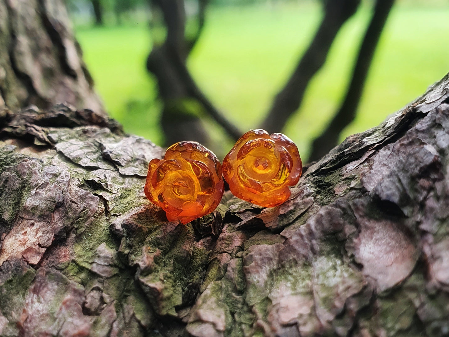 Baltic amber earrings for women and children 