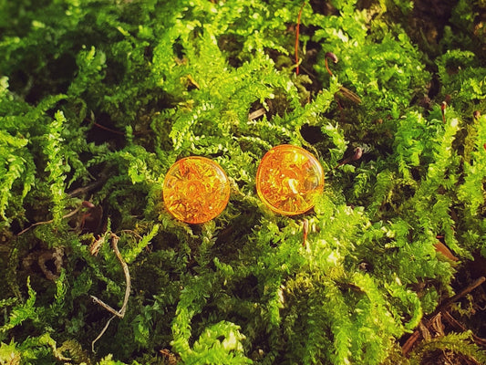 Handmade honey color amber stud earrings