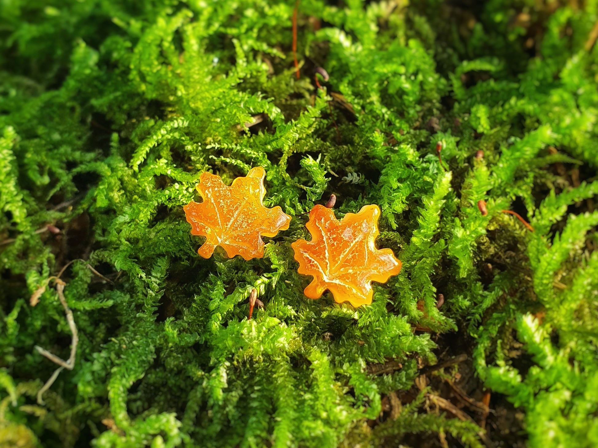 Natural butterscotch amber stud earrings