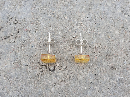 Baltic amber stud earrings with 925 silver