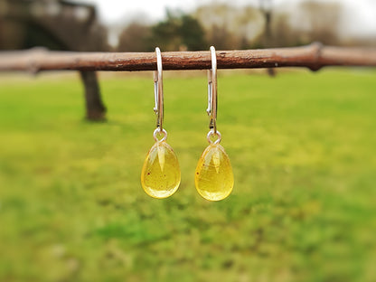 natural lemon color Baltic amber earrings