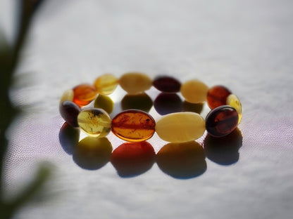 multicolor Baltic amber elastic bracelet 