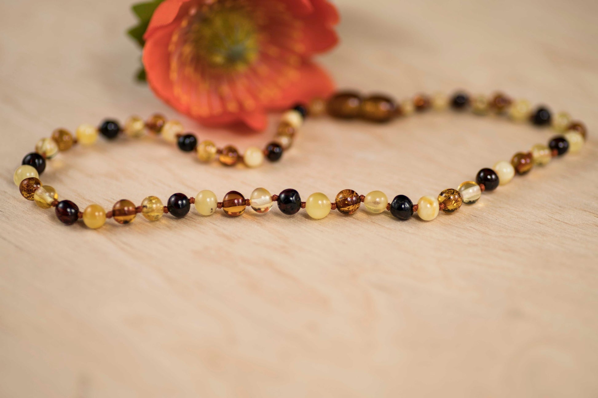 multicolored amber baby necklace