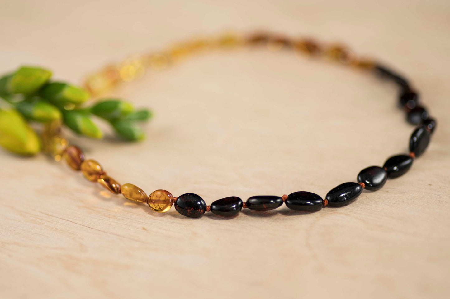 amber rainbow teething necklace